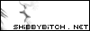 shibbybitch.net