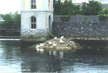 galway-01