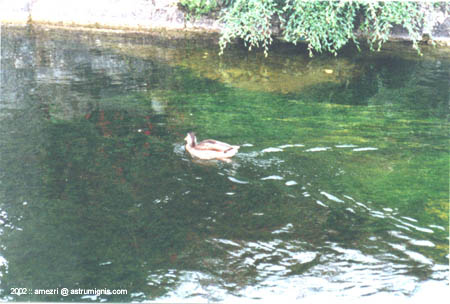 galway-04
