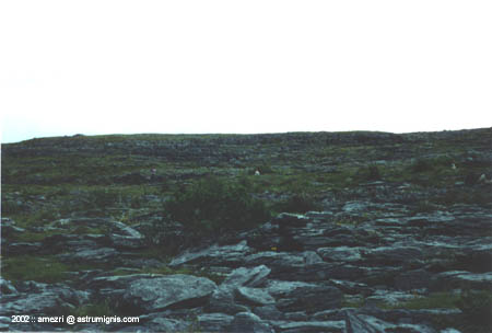 t2-ailwee-03