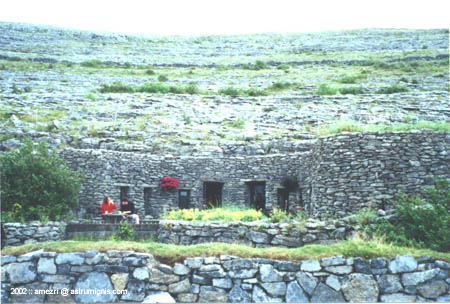 t2-ailwee-04