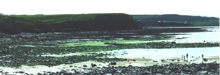 t2-moher-04