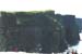 t2-moher-02