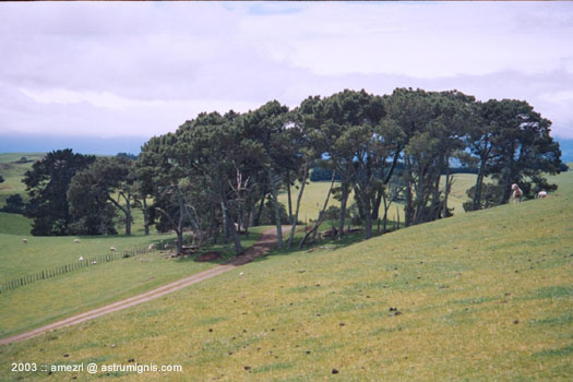 20031124-hobbiton-03