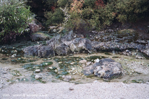 20031126-rotorua-03