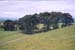 20031124-hobbiton-03