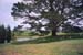 20031124-hobbiton-06