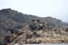 20031127-whakapapa-02