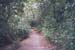 20031220-mtvictoria-09