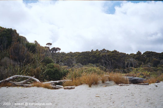 20031207-shipscreek-05
